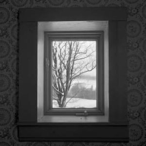 335_20_Window_Tree-300x300