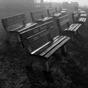 335_21-benches-after-the-rain-300x300