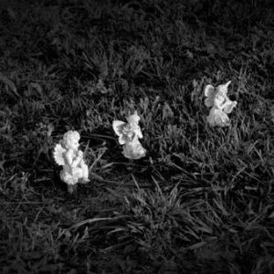 338_18-angels-in-the-grass-300x300