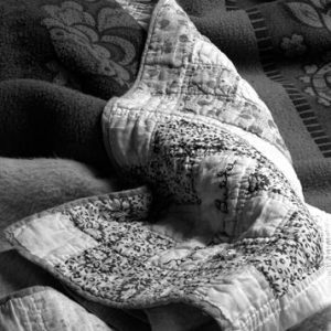 357_19_Quilt_Fold_Bk-300x300