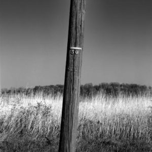 435_152_Telephone_Pole_10X-300x300