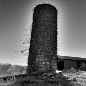 437_004_Black_Silo_10x-300x300
